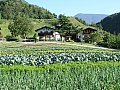 Ferienwohnung in Trentino-Südtirol Vahrn Bild 1