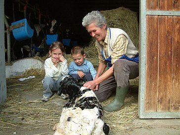 Ferienwohnung in Vahrn - Tiere auf dem Punterhof