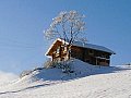 Ferienhaus in Hippach - Tirol