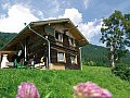 Ferienhaus in Hippach - Tirol
