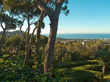 Ferienhaus in Livorno - Blick aus dem Park Richtung Livorno