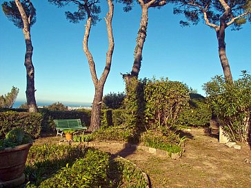 Ferienhaus in Livorno - Der Park