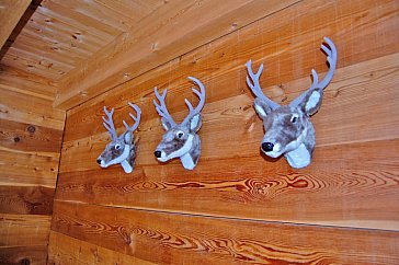 Ferienhaus in Blatten-Belalp - Im Schlafzimmer im EG