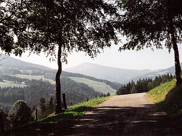 Ferienhaus in Hirschegg - Ein Weg vom Ferienhaus