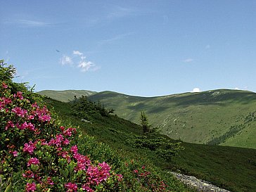 Ferienhaus in Hirschegg - Idyllisches Steiermark