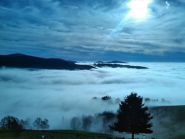 Ferienwohnung in Herrenschwand - Umgebung