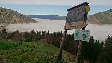 Ferienwohnung in Herrenschwand - Umgebung