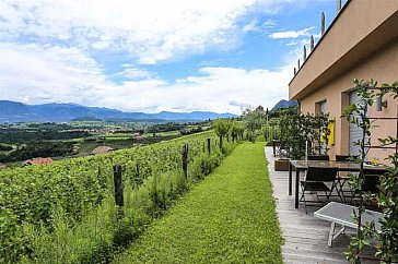 Ferienwohnung in Eppan-Missian - Terrasse mitten in den Weinbergen