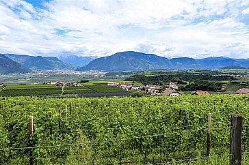 Ferienwohnung in Eppan-Missian - Blick auf den Bozner Talkessel und die Dolomiten