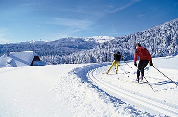Ferienwohnung in Hinterzarten - Langlauf im Schwarzwald