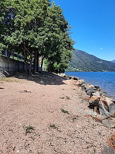 Ferienwohnung in Cuasso al Monte - Lago di Lugano