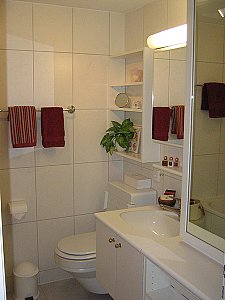 Ferienwohnung in Flims - Badezimmer