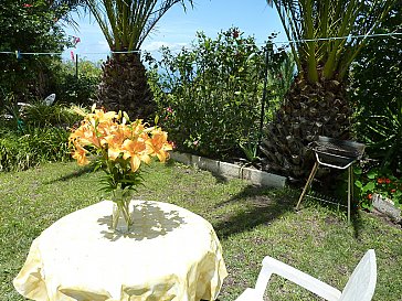 Ferienhaus in Icod de Los Vinos - Casa Palmera - Liegewiese