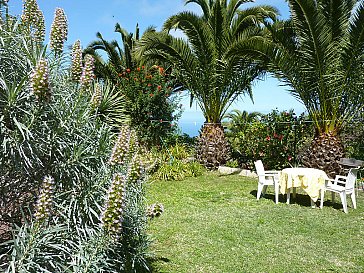 Ferienhaus in Icod de Los Vinos - Casa Palmera - Meerblick 2