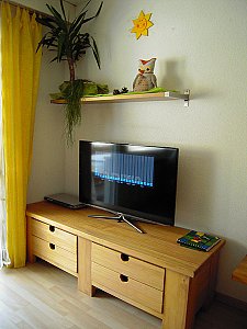 Ferienwohnung in Mörel-Breiten - Fernseher