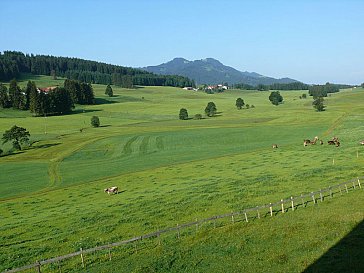 Ferienwohnung in Seeg - Aussicht aus der Ferienwohnung