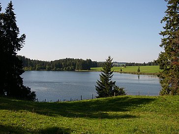 Ferienwohnung in Seeg - Naturbadesee in 1.5 km Entfernung