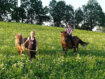 Ferienwohnung in Seeg - Unsere Ponys