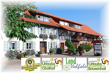 Ferienwohnung in Friedrichshafen - Hofansicht