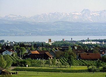 Ferienwohnung in Friedrichshafen - Blick über Hof und Bodensee in die Schweizer Berg