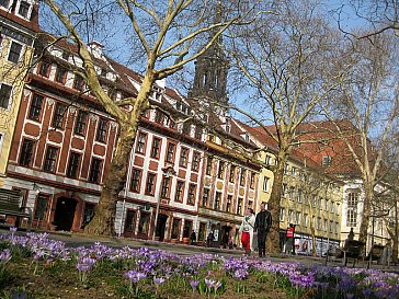 Ferienwohnung in Dresden - Lage der FEWO am Fussgängerboulevard