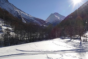 Ferienwohnung in Saas-Grund - Umgebung