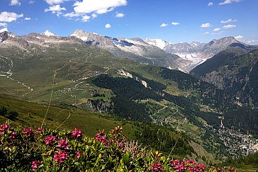 Ferienwohnung in Blatten-Belalp - Belalp mit Aletschgletscher im Sommer
