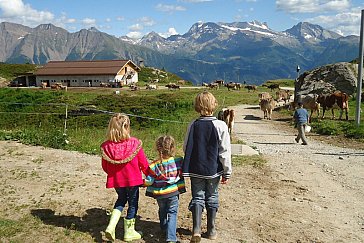 Ferienwohnung in Blatten-Belalp - Belalp Alpenhof mit Molkerei