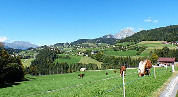 Ferienwohnung in Hafling - Bild12