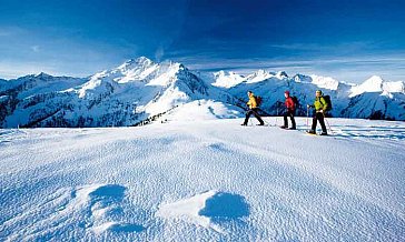 Ferienhaus in Zell am Ziller - Bild13