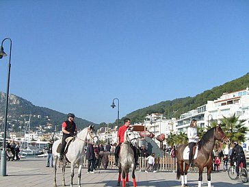 Ferienwohnung in L’Estartit - Pferde und andere Tiere in Estartit am Hafen