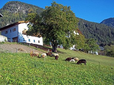 Ferienwohnung in Kastelruth - Strumpflunerhof Südseite