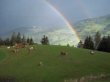 Ferienwohnung in Kastelruth - Umgebung vom Strumpflunerhof