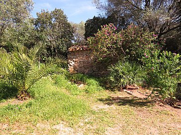 Ferienhaus in Sanalvo - Im Garten