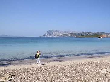 Ferienhaus in Sanalvo - Strand Capo Coda Cavallo mit Insel Tavolara