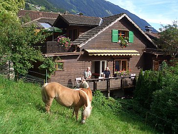 Ferienwohnung in Schruns-Tschagguns - Chalet Aussen