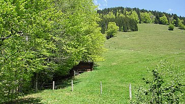 Ferienwohnung in Balderschwang - Hinterm Haus