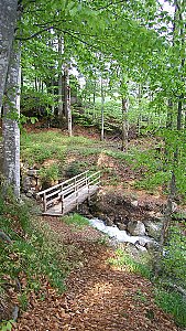 Ferienwohnung in Balderschwang - Waldweg am Haus