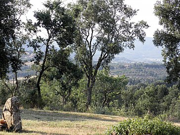 Ferienwohnung in Massa Marittima - Umgebung