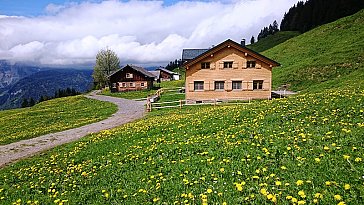 Ferienhaus in Bezau - Berghof-Sommer