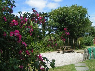 Ferienhaus in Treburrick-Padstow - Teil des Gartens