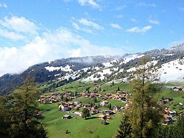 Ferienwohnung in Habkern - Natur pur - für einen erholsamen Urlaub