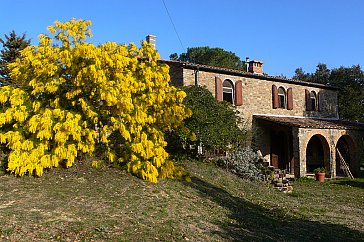 Ferienhaus in Prata di Suvereto - Frühling im Poggio