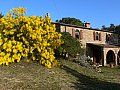 Ferienhaus in Prata di Suvereto - Toskana