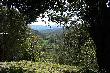 Ferienhaus in Prata di Suvereto - Natur, Ruhe und Aussicht