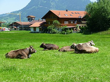 Ferienwohnung in Ofterschwang - Aussenfoto 2