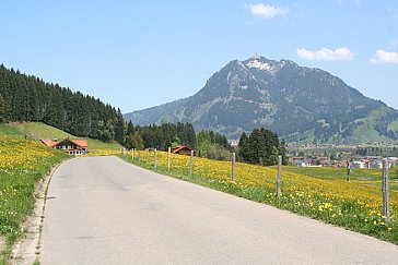 Ferienwohnung in Ofterschwang - Umgebungsfoto Sommer