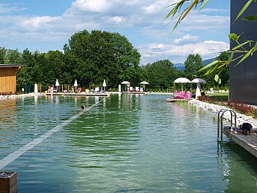 Ferienhaus in Feistritz - Pool