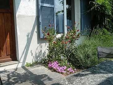 Ferienwohnung in Locarno-Muralto - Natur direkt vor dem Fenster