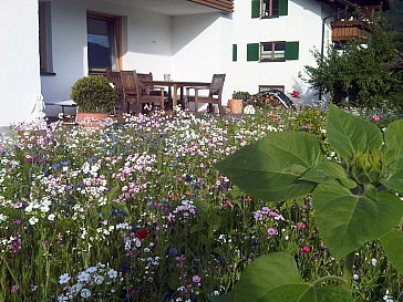 Ferienwohnung in Bad Hindelang - Terrasse